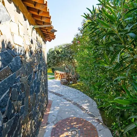 Luxueuse Vue Vignes Avec Piscine Et Terrain De Petanque *